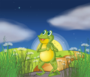 A frog looking at the bright star